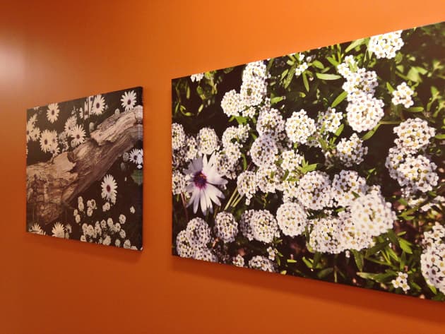 Kaiser Permanente Photography Installation