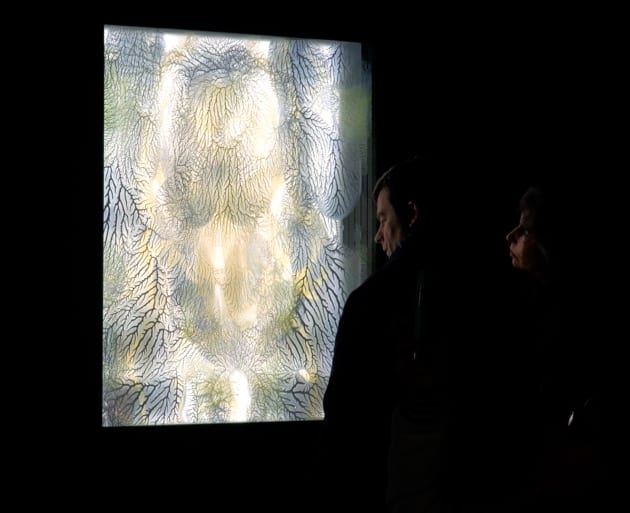 Illumination of the Sacred Forms