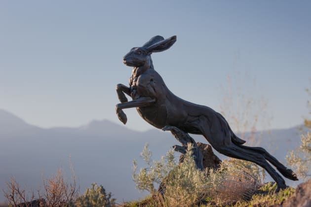 Jackson Hole Airport Roundabout