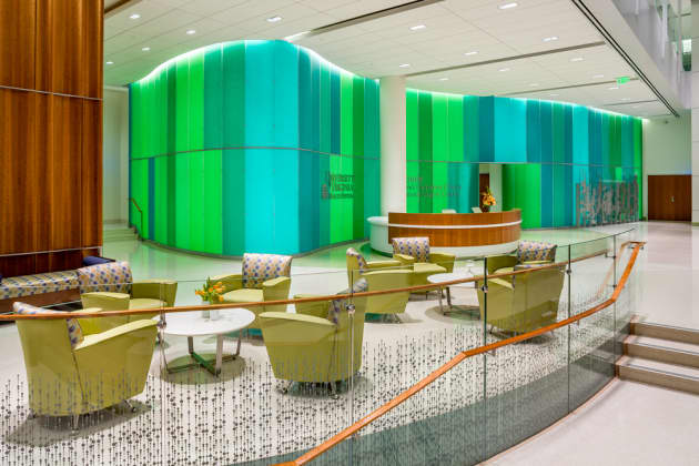 UVA Storytelling and Feature Walls