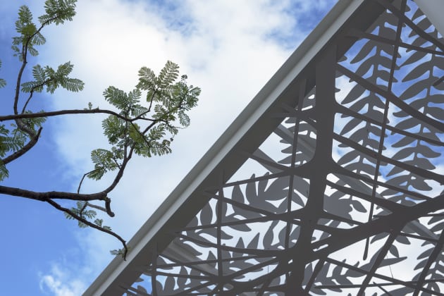 Patio de las Jacarandas