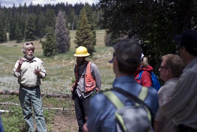 Beetle Kill & Aspen Die Off