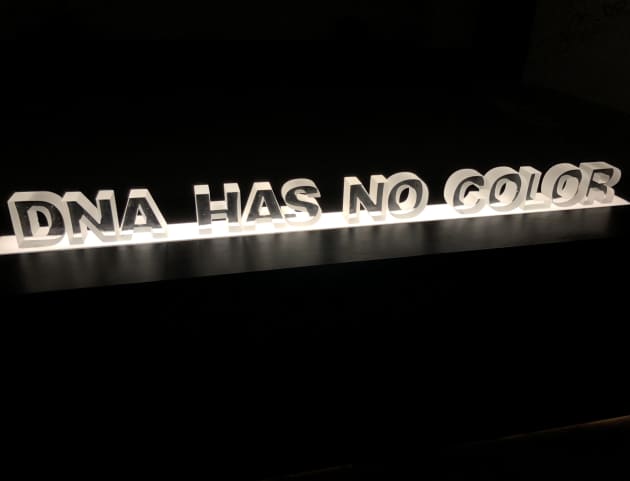 DNA HAS NO COLOR