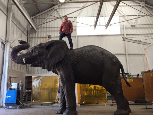 Jumbo the Elephant