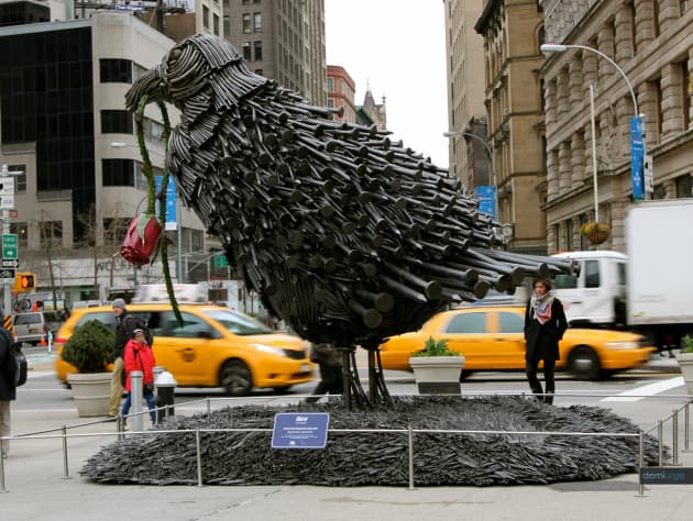 Bird