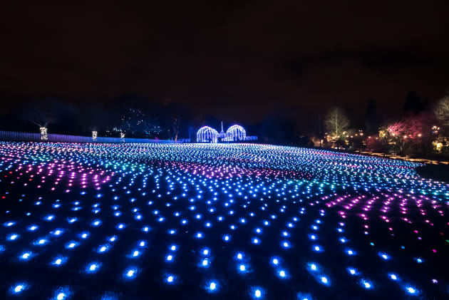 Sea of Light