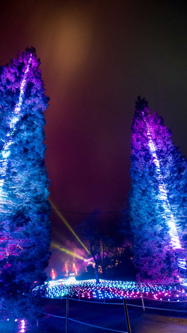 Sea of Light