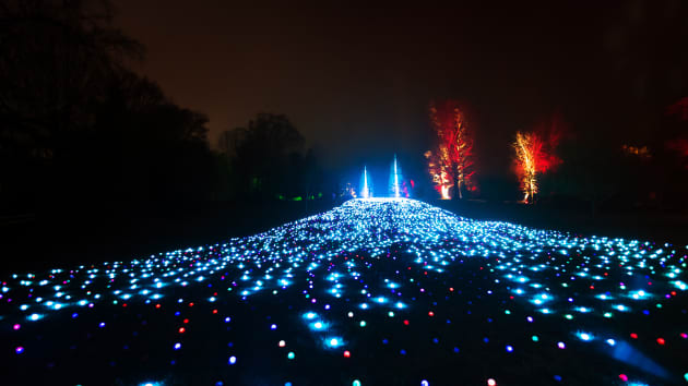 Sea of Light