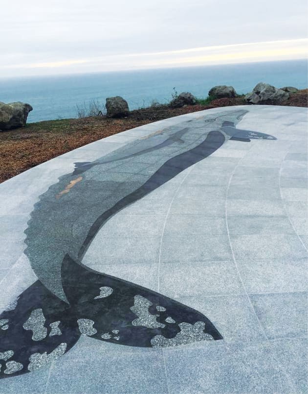 Pacific Coast Highway