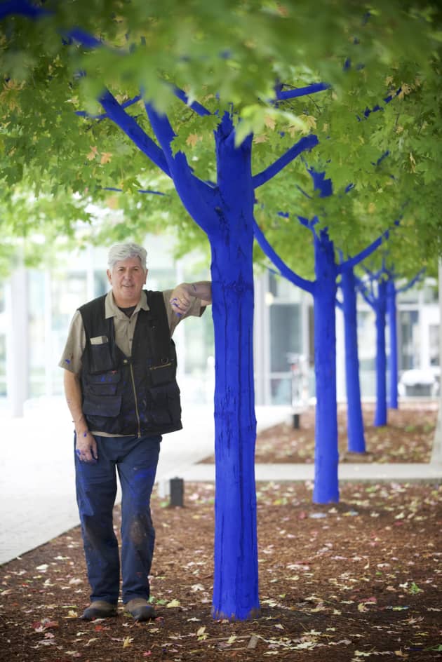 The Blue Trees