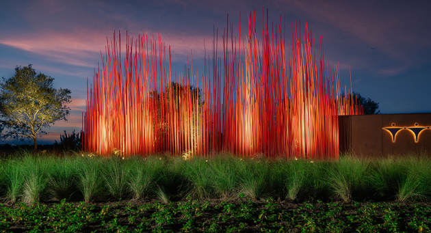 Windgrass