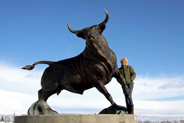 USU Bull