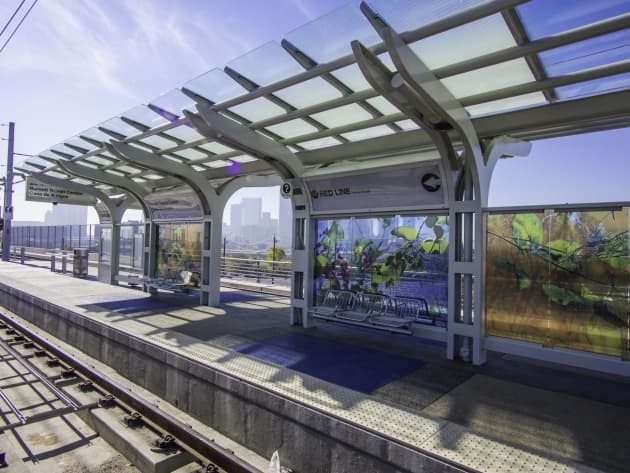 Houston Arts in Transit