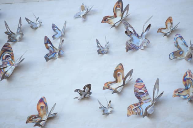 Butterflies for Peace