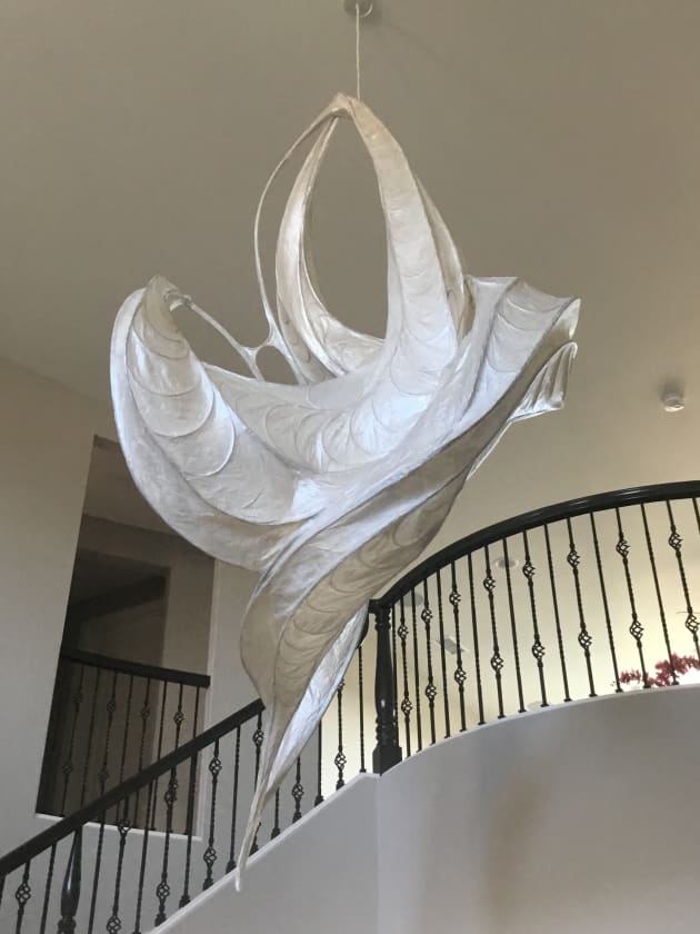 The Shape of Light