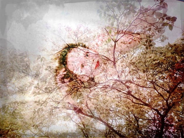 Display of Self
