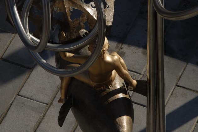 The Life Protector