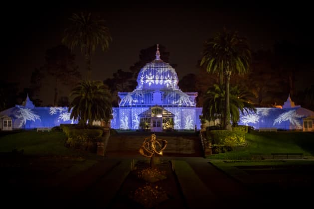 Photosynthesis at the Conservatory of Flowers