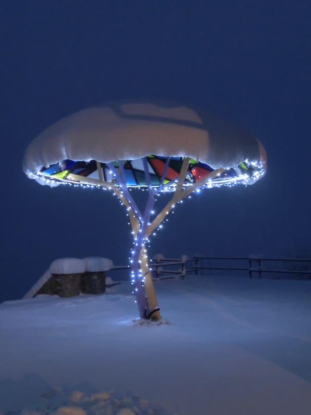 LIBERTY TREE