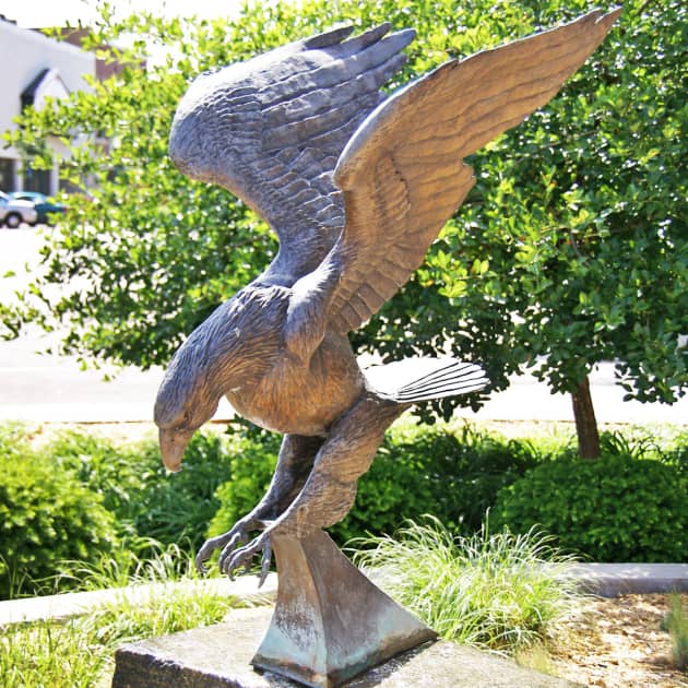 Clinton Local Wildlife