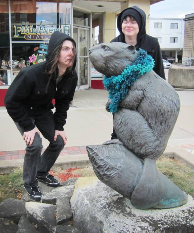 Clinton Local Wildlife