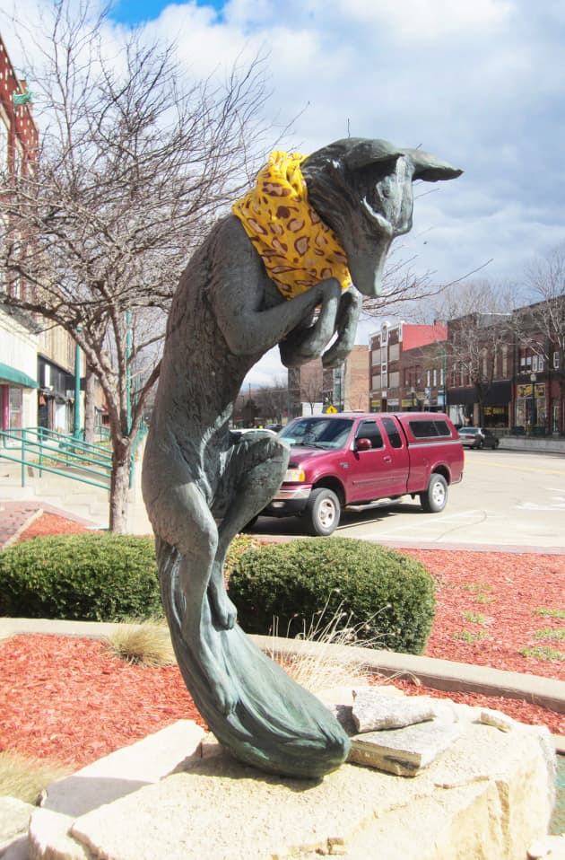 Clinton Local Wildlife