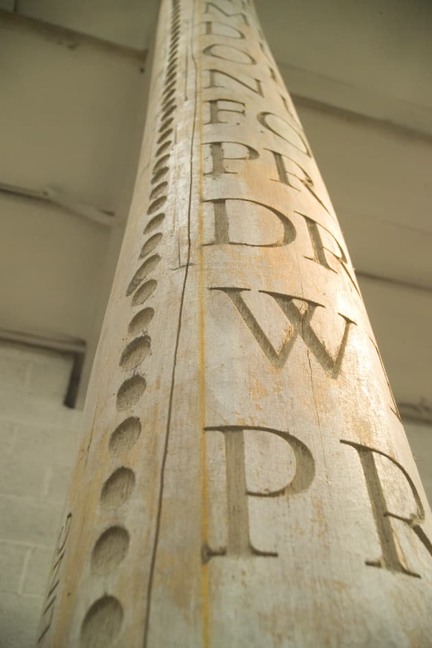 Typographic Trees