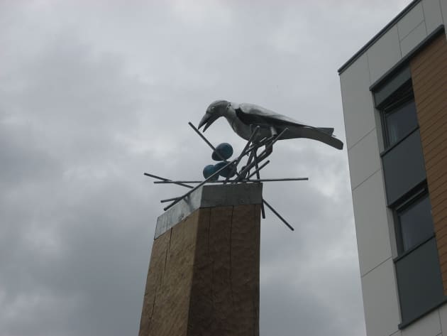 Crows of Bicester