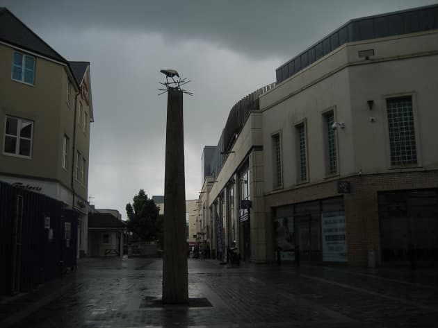Crows of Bicester
