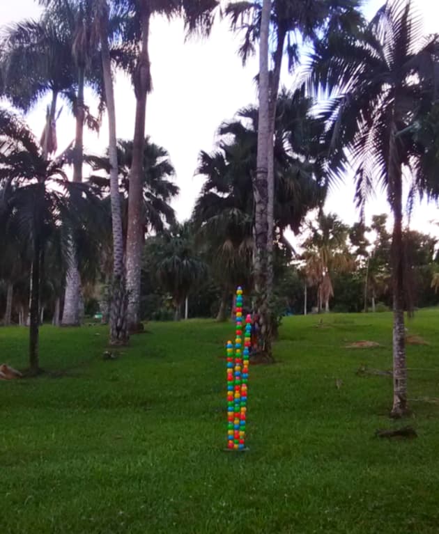 Minimalist Bamboos