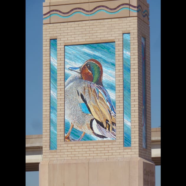Trinity River Fowl/Water Passages