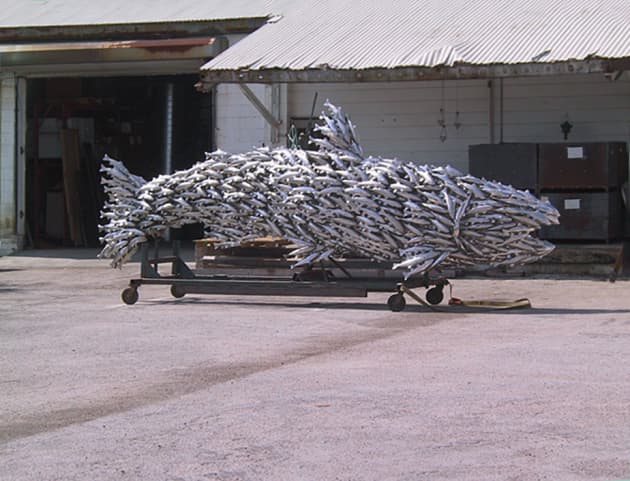 Cut Throat Trout