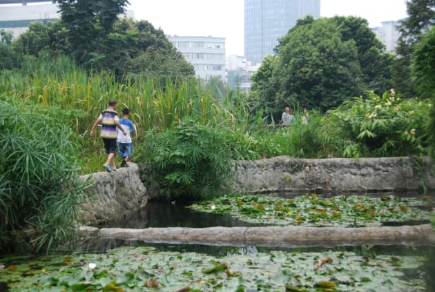 The Living Water Garden