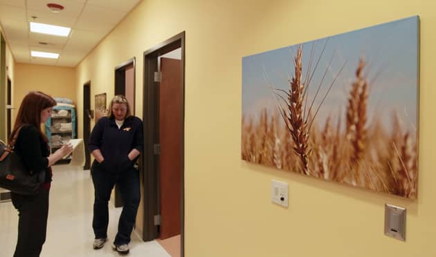 Kaiser Permanente Photography Installation
