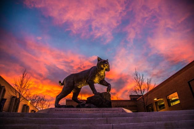 JWU Wildcat Monument