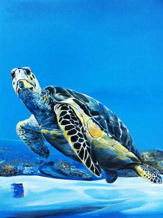 Nature Scene Murals