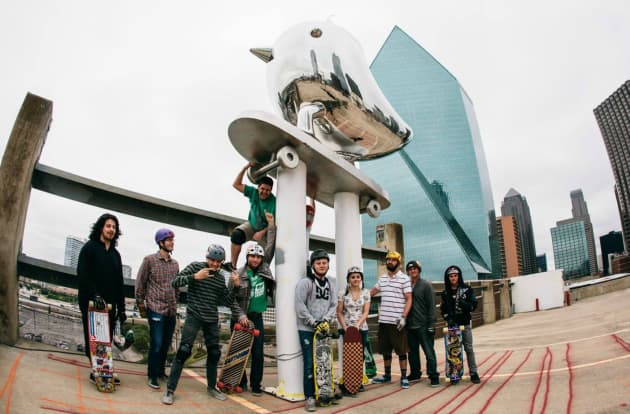 SkaterBIRD