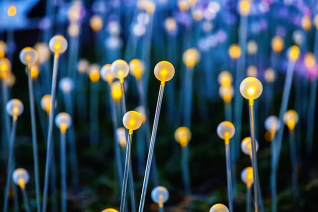 Bruce Munro’s Field of Light at Discovery Green