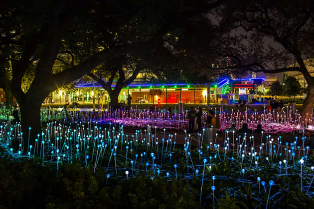 Bruce Munro’s Field of Light at Discovery Green