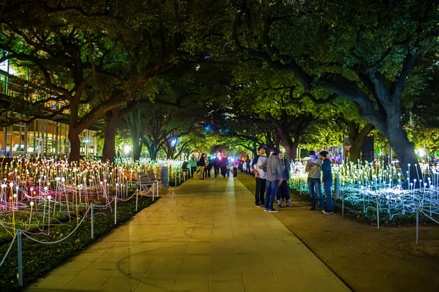 Bruce Munro’s Field of Light at Discovery Green
