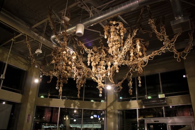 Whole Foods Market Newport Beach Café