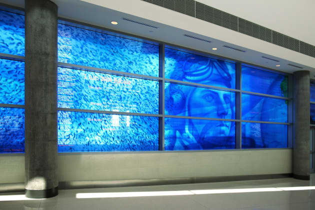 Blueprint for Flight