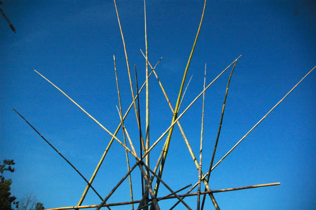 Big Bamboo