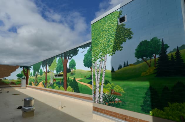 Aspirus Medford Hospital Mural