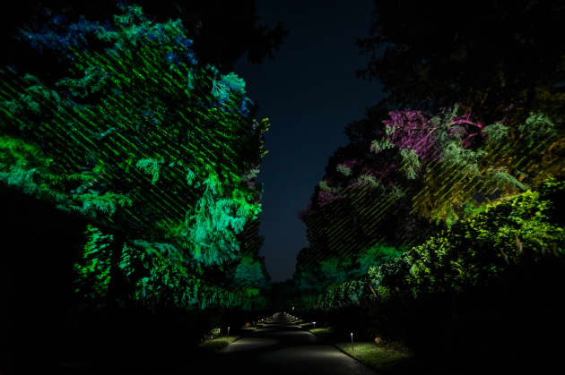 Nightscape