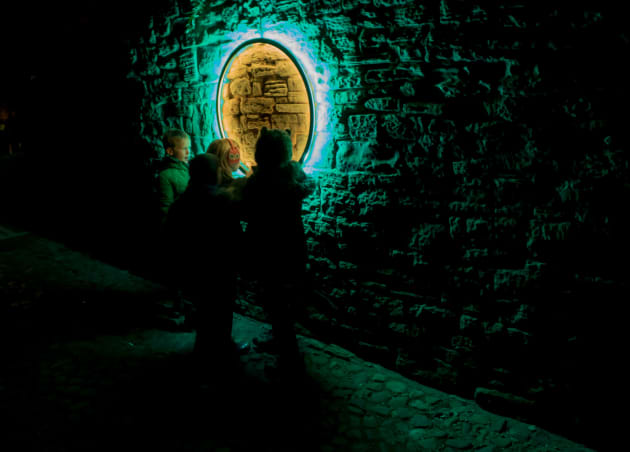Harmonic Portal