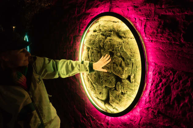 Harmonic Portal