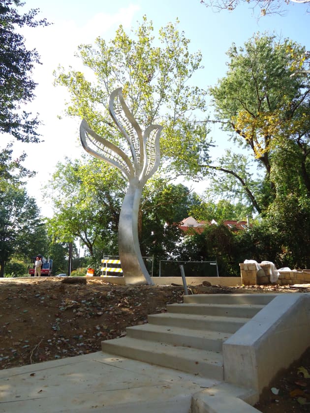 The Takoma Trees