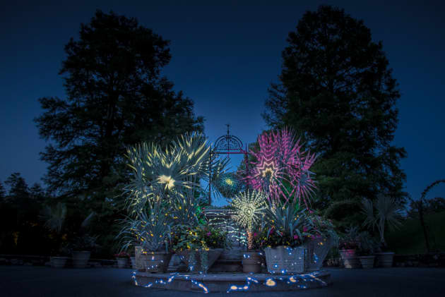 Nightscape