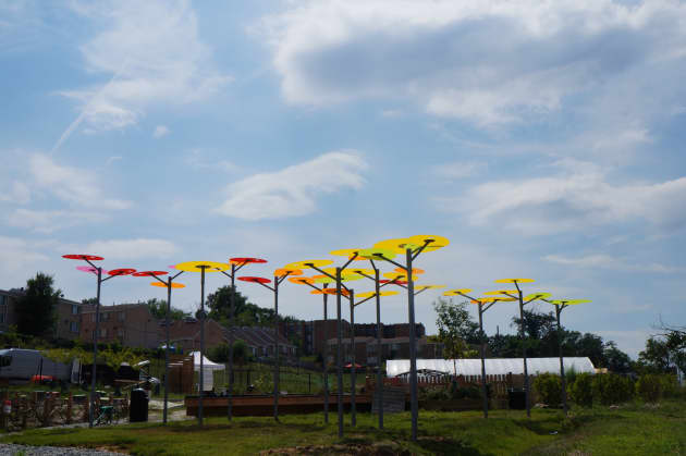 Sheltering Color and Light